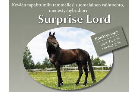 Surprise Lord – astutusoikeus 2021